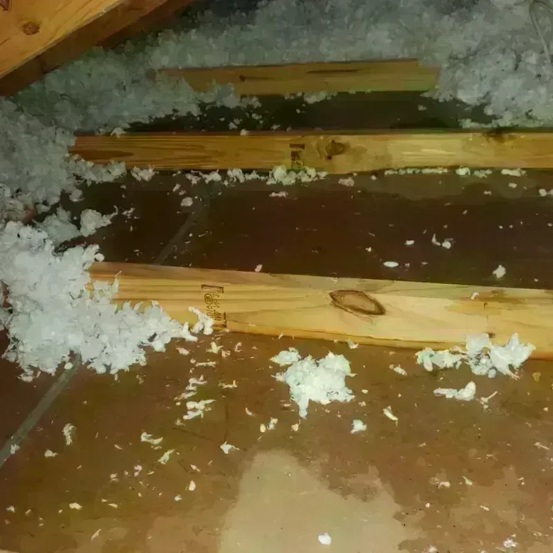 Attic Water Damage in North Lauderdale, FL