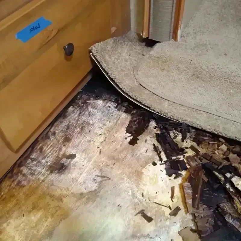 Wood Floor Water Damage in North Lauderdale, FL